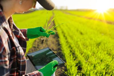 Farm grants available