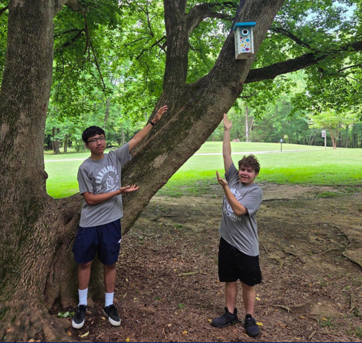 Kannapolis birdhouses