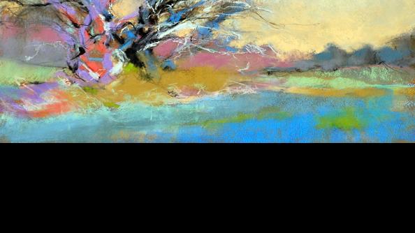 Cabarrus Artist S Pastels Create Kaleidoscope Of Color At The