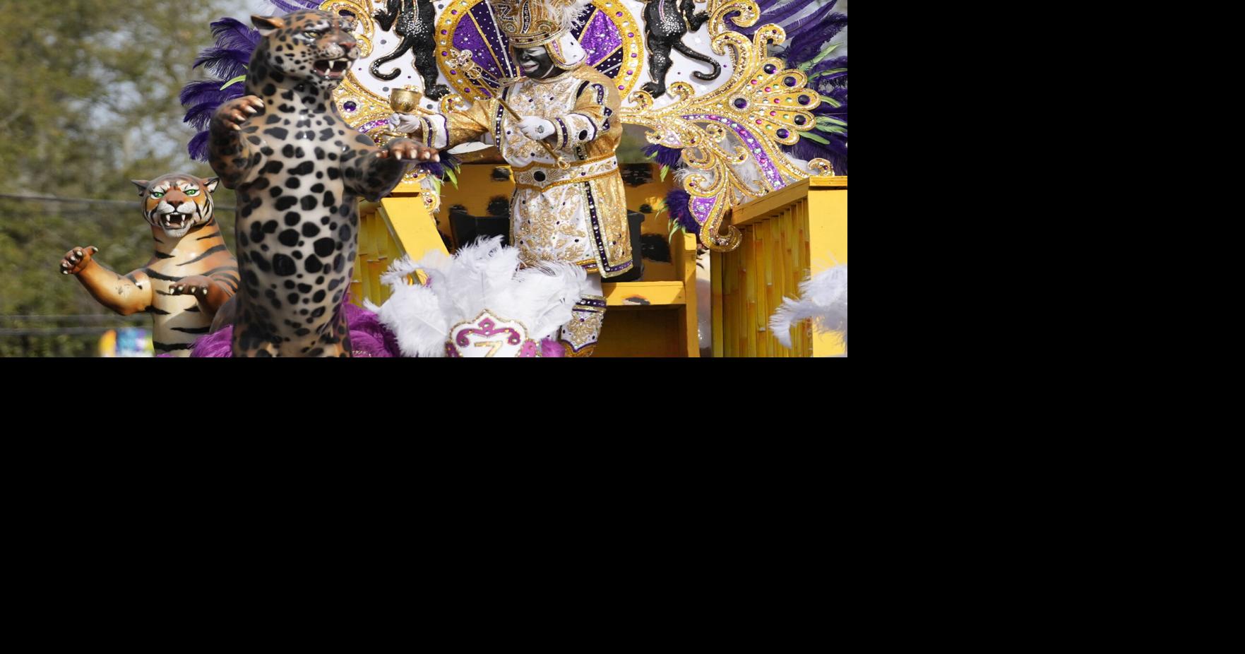 mardi gras violence 2025