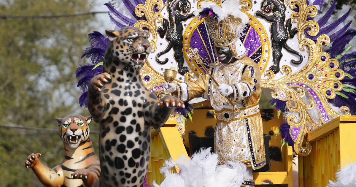 mardi gras violence 2025 mardi gras violence 2025