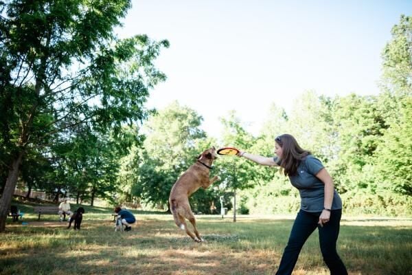 Your Go-To Guide to Catawba County Parks