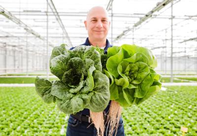 Issue No. 53: Leafy Greens in Michigan