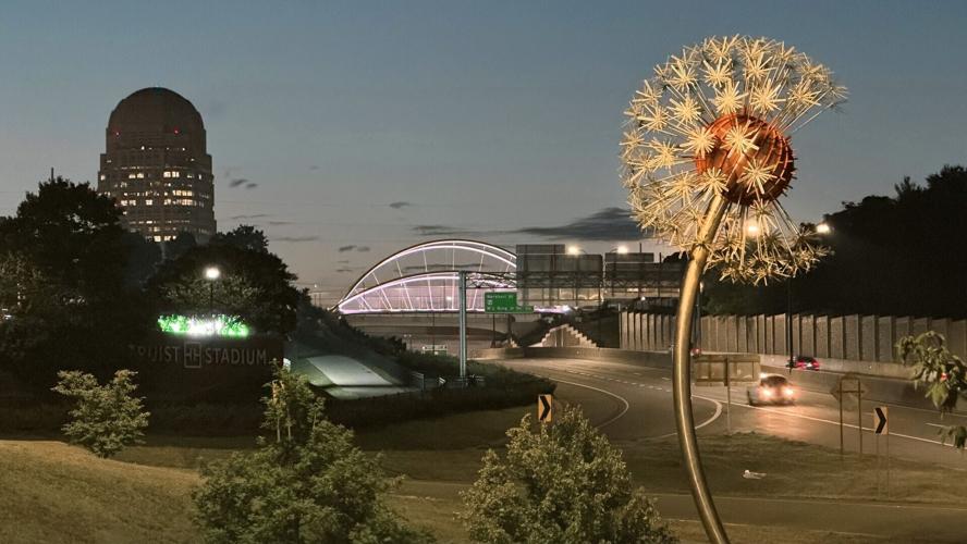 Dandelion art