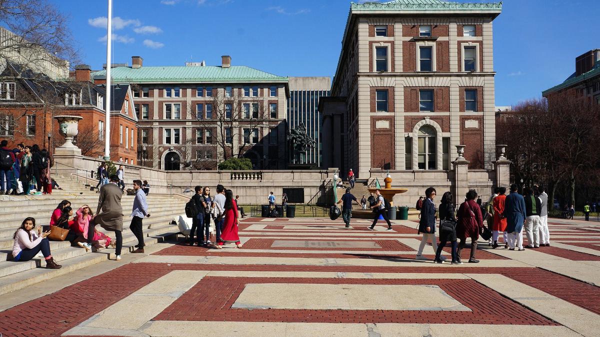 Higher education