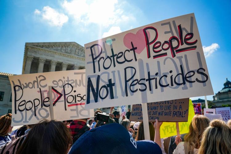 Protestors gather outside the Supreme Court as the Justices hearing arguments in Monsanto Company v. Durnell, on April 27, 2026,