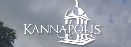 Kannapolis budget.jpg