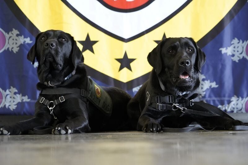Lucy, a crisis response dog, officially became part of the Fayetteville Fire Department during a vesting ceremony Wednesday, April 8, 2026, at Fire Station 14 on Langdon Street in Fayetteville. She's shown here with Griffith, who became the department's...