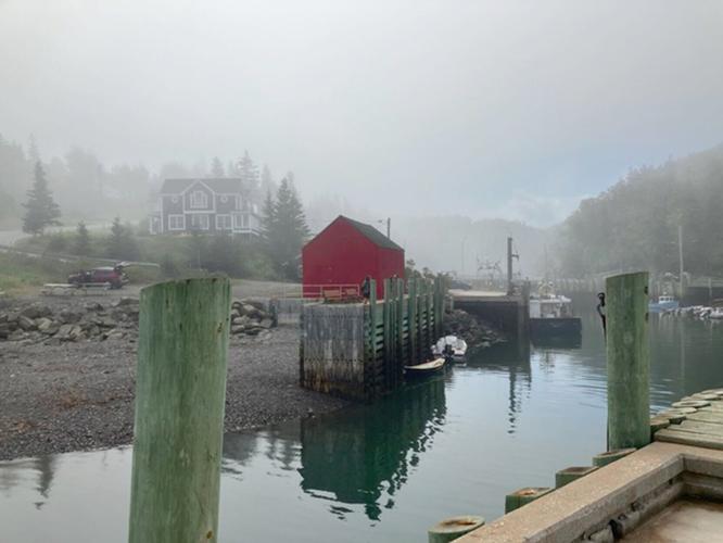 Annapolis Valley, the agricultural heart of Nova Scotia, was next on our agenda. It lies along the Bay of Fundy, which sees the highest tides in the world. We stopped briefly at Halls Harbor to view this unique phenomenon and then when the fog rolled in...