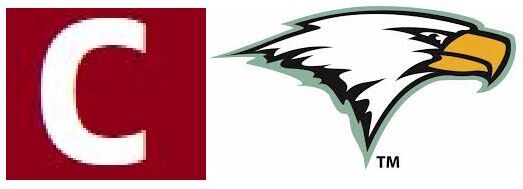 HIGH SCHOOL FOOTBALL: Cougars' bid for another state title ends with loss  to Rabun Gap-Nacoochee