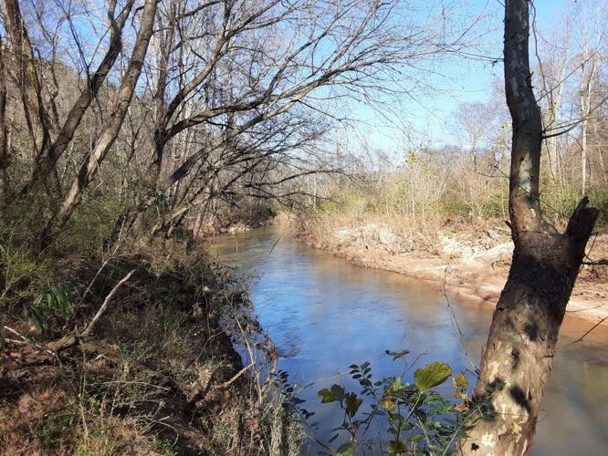 Jacob Fork River.jpg