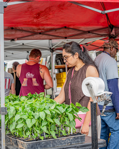 Kannapolis Farmers Market
