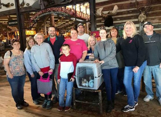 Cats returned to family after escaping fatal wreck