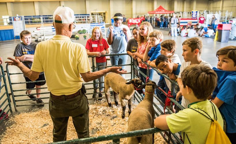 Agribusiness school program