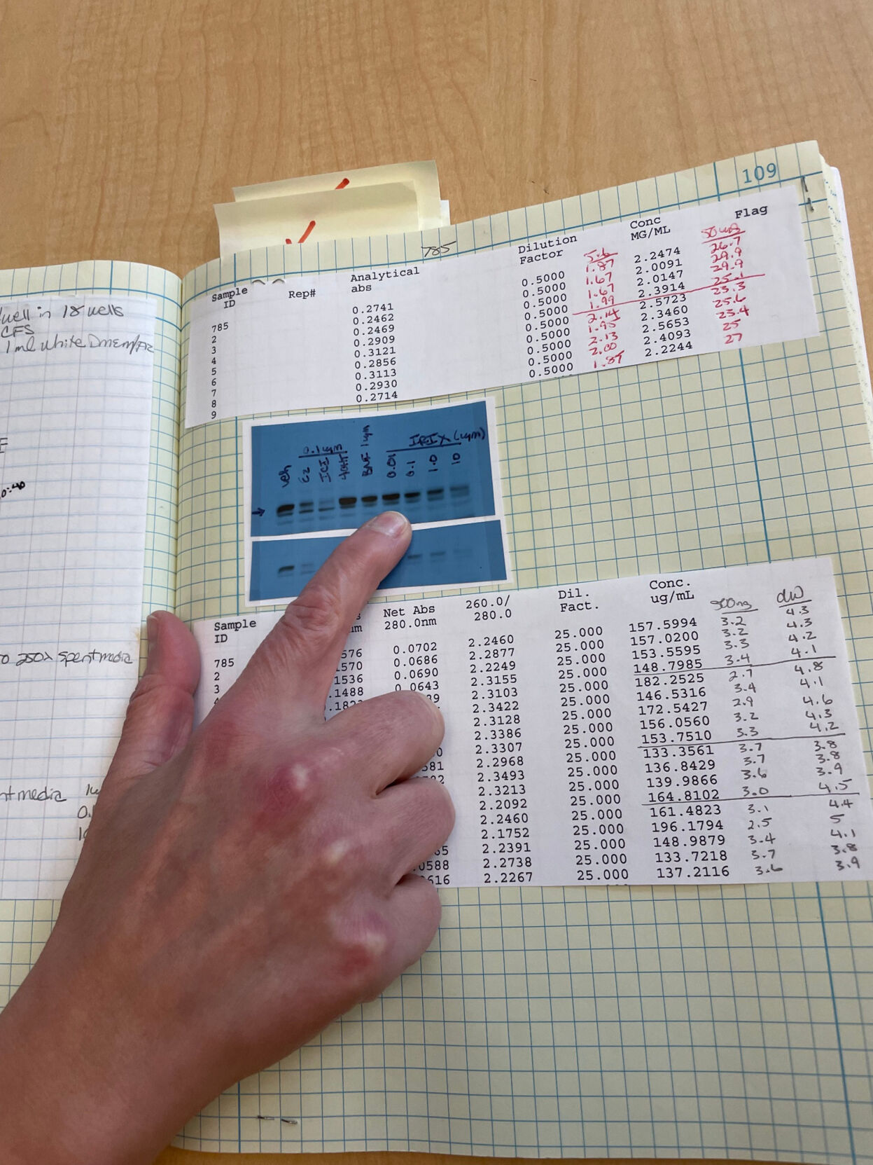 Suzanne Wardell, a Duke cancer biologist, points to the experiment results that first showed elacestrant could be used for metastatic breast cancer.