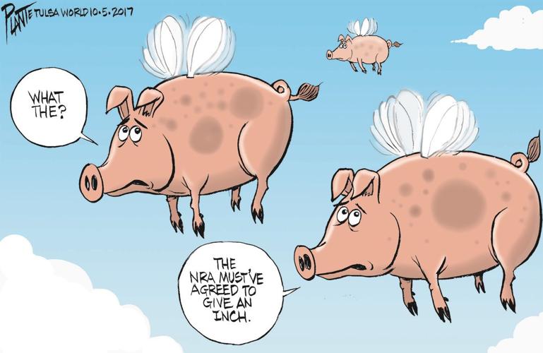 10-08 A4 plante pigs