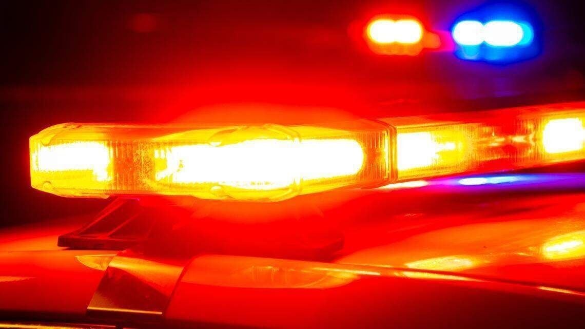 Two men suspected of orchestrating 100 pharmacy burglaries caught when North Carolina sergeant gets suspicious of BMW at 4:15 a.m., police say