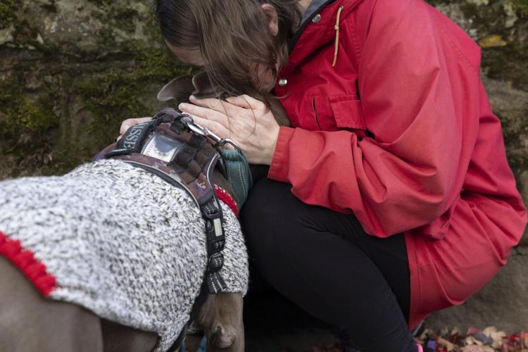 xxxDomestic Violence Assignment_Jessie