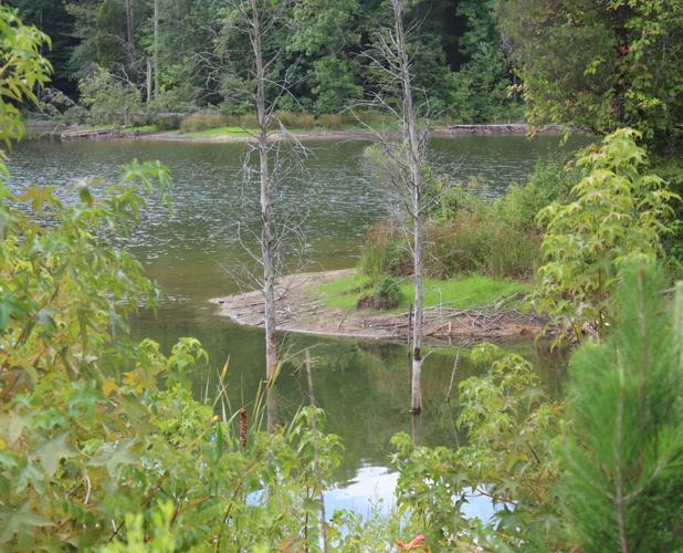 Concord, Kannapolis enact voluntary water restrictions