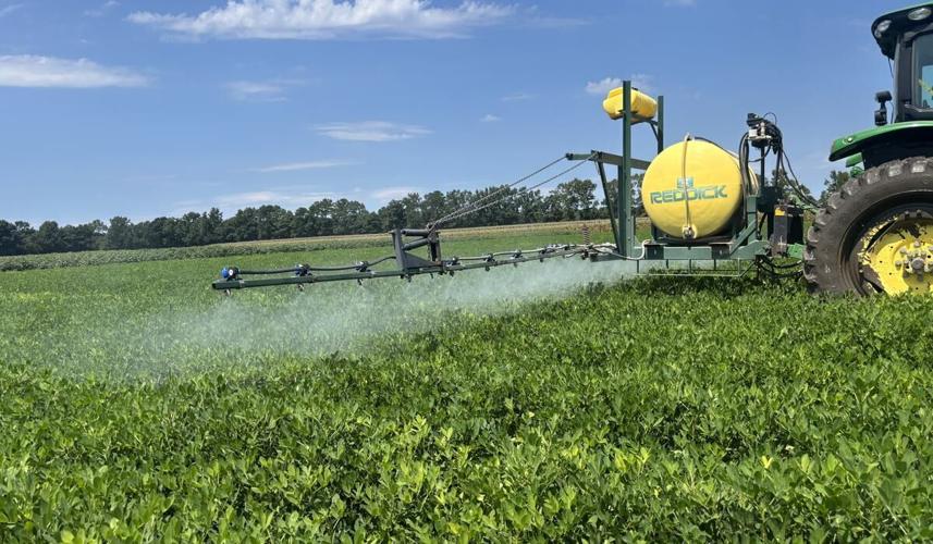 Fungicide Performance Peanut Notes No. 223 2026