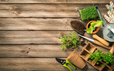 Top 10 Garden Tools for Tough Gardening Problems