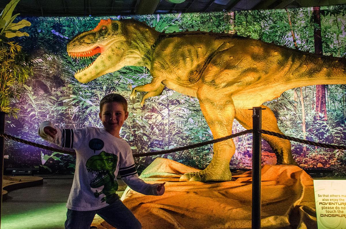Discover the dinosaurs time trek coupon