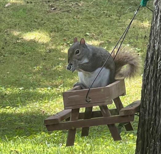 Father's Day present