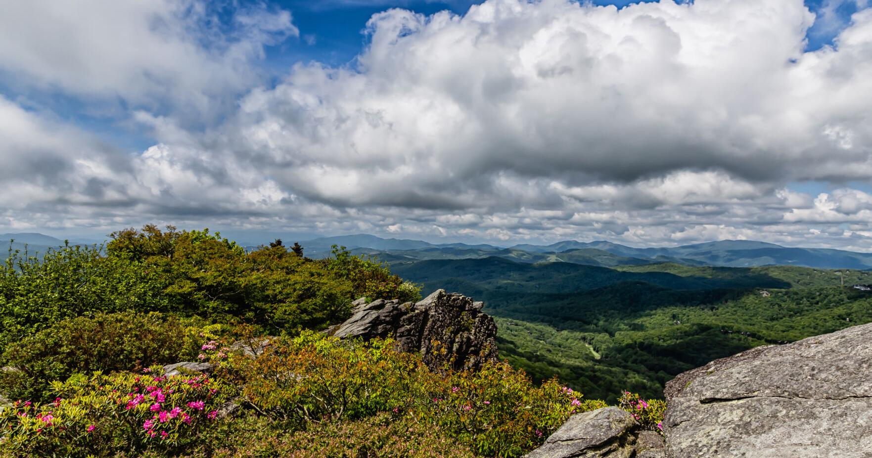 Grandfather Mountain to host BioBlitz event on Saturday - Vimarsana News