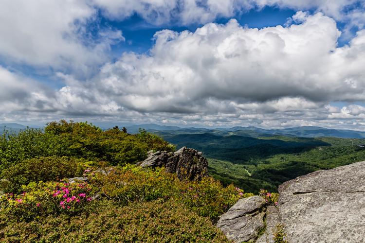 Grandfather Mountain