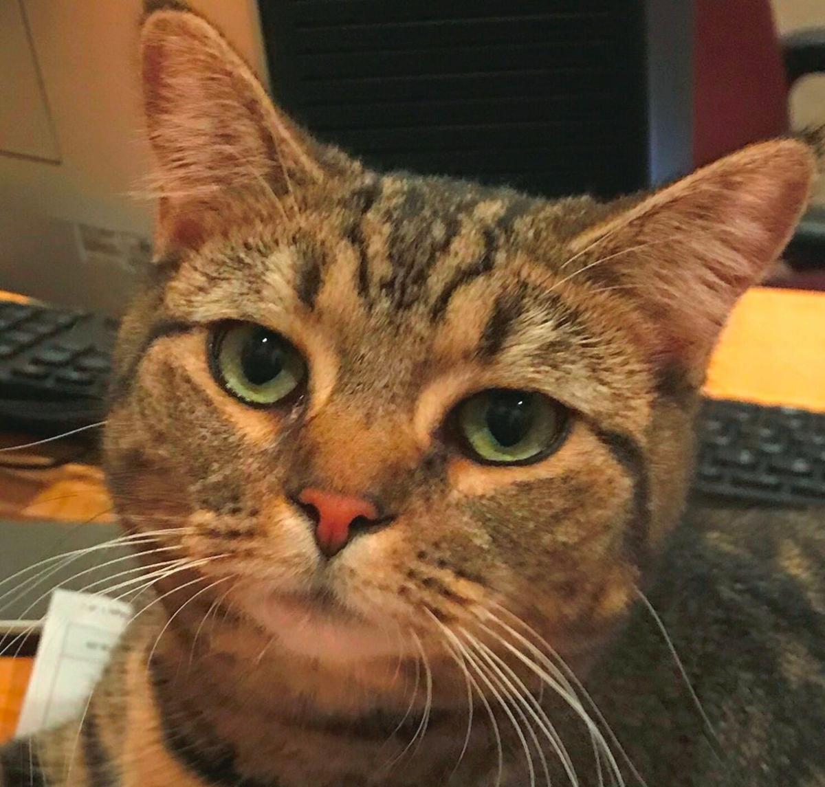 LIFE-RELATE-EXES-LITTERBOXES-TNS