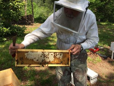 Beekeeping