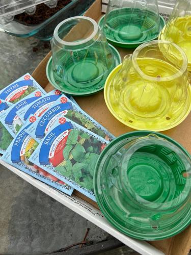 Gardening-Creative Reuse