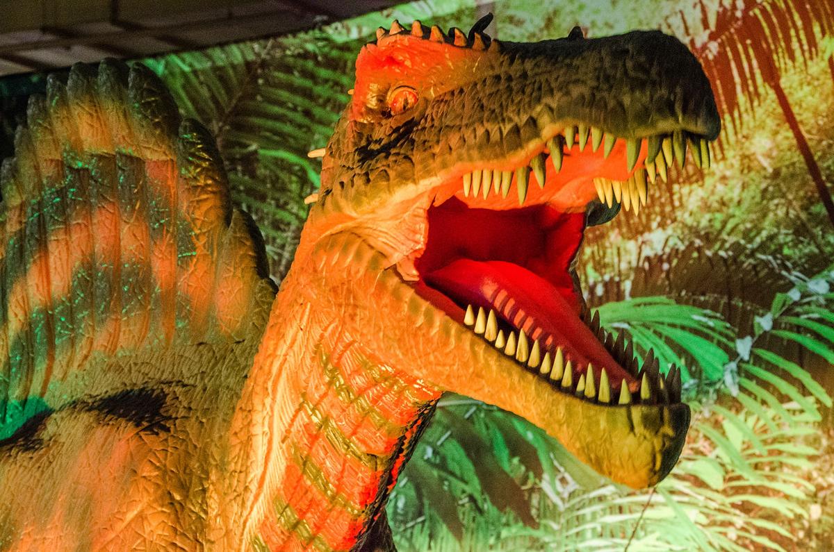 discover the dinosaurs