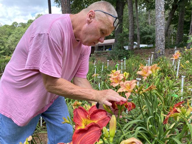 Joe Hudson examines a plant
