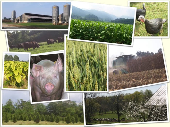 Farmland preservation