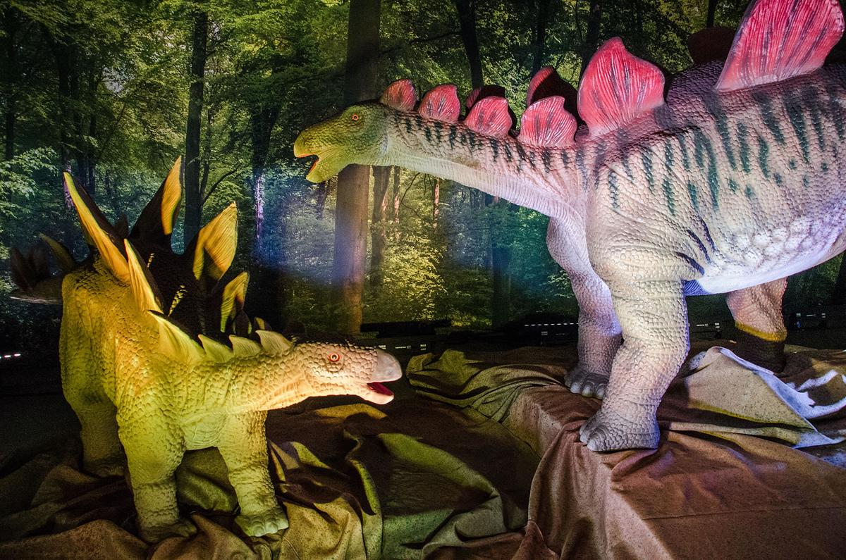 Discover the Dinosaurs | Gallery | independenttribune.com