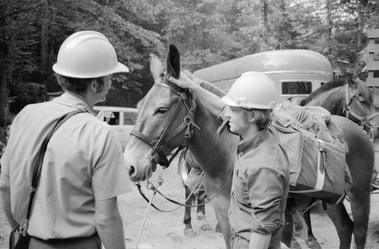 Mule team -- 1977