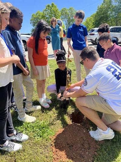Planting trees at school