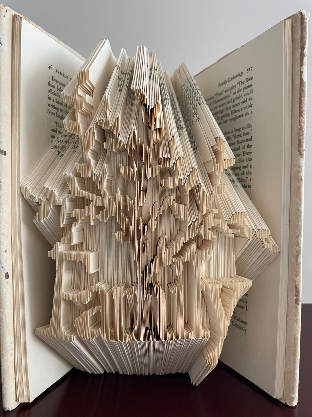 Unfold and read