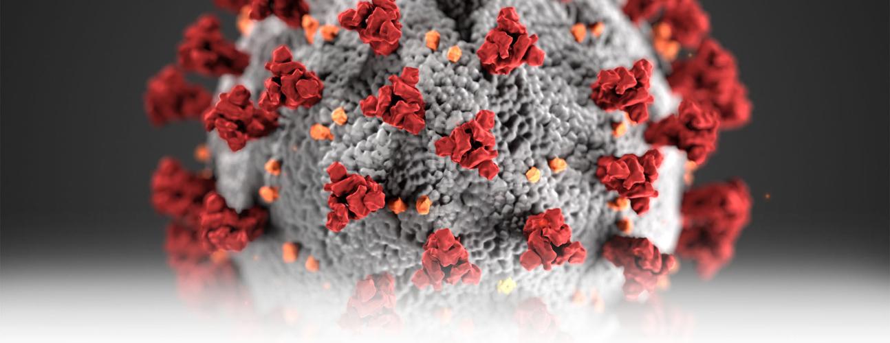 coronavirus big read crop