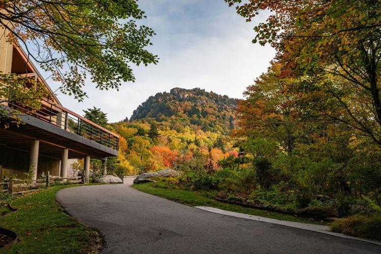 Fall Color at Wilson Center