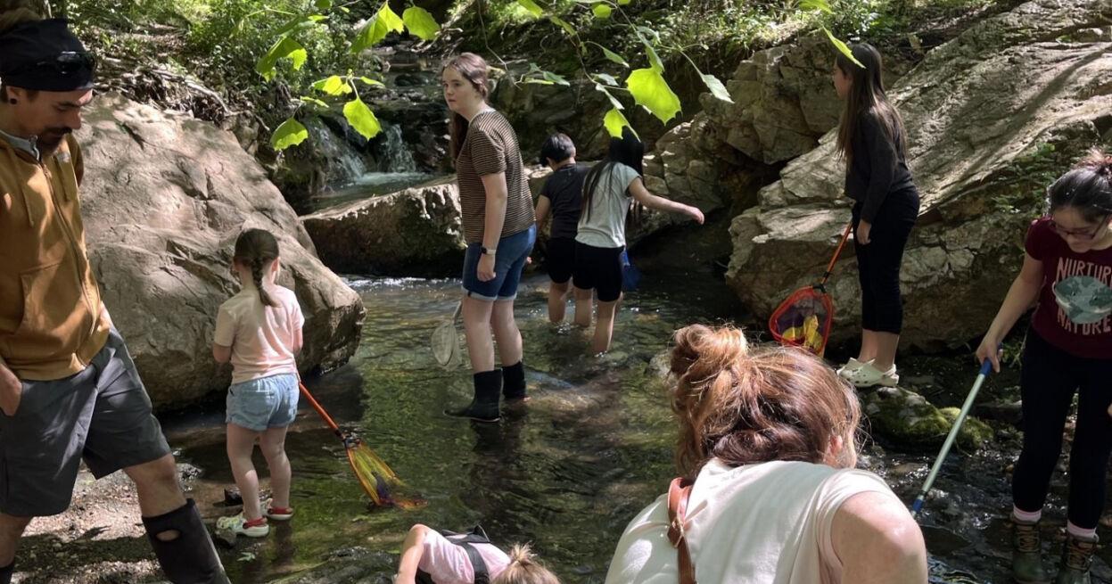 Friday Five: Splashing in the creek and watching the animals right outside the window - Vimarsana News