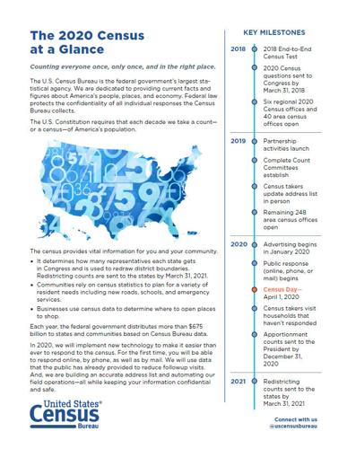 2020 census at a glace