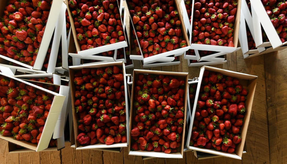 Country Roads Strawberries