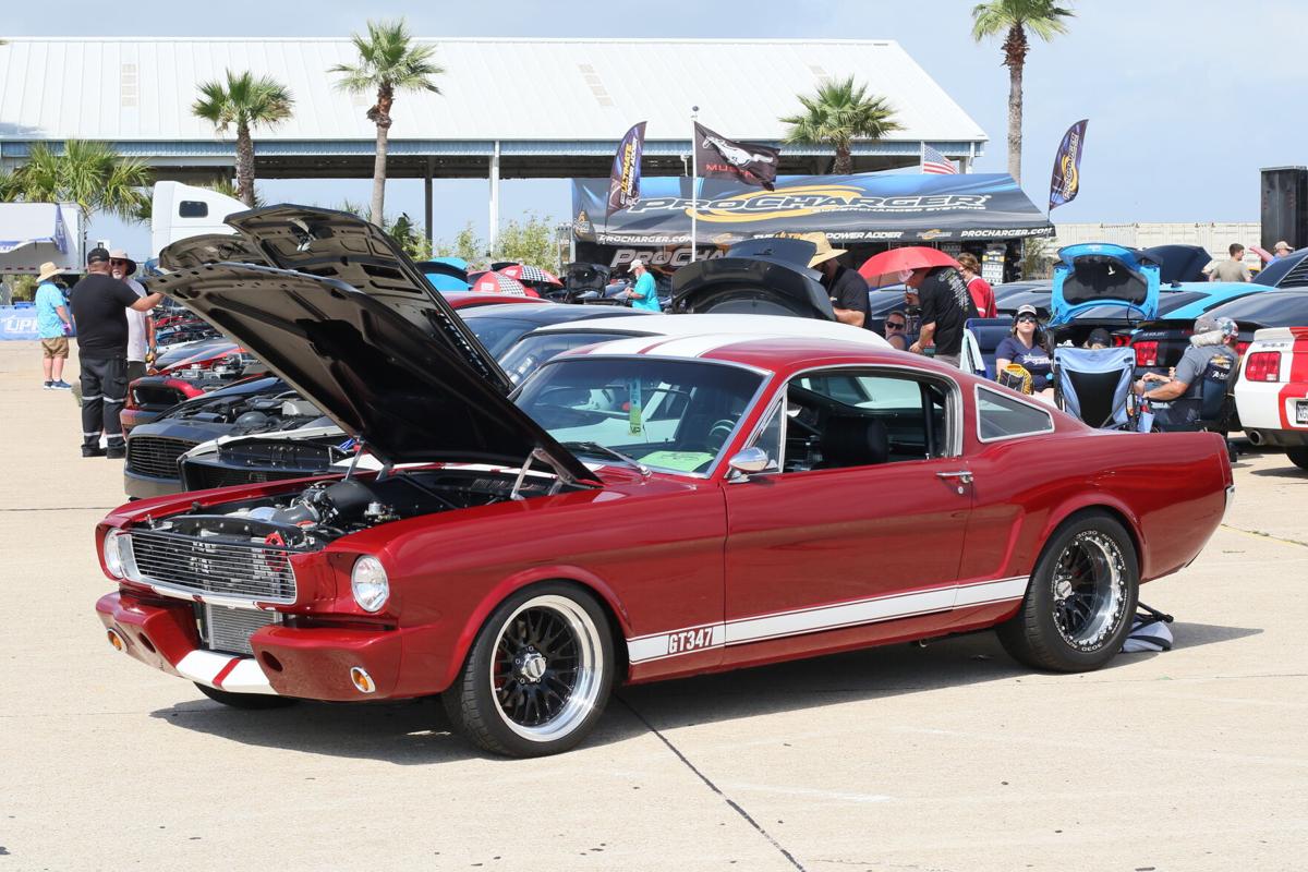 Mustang Week