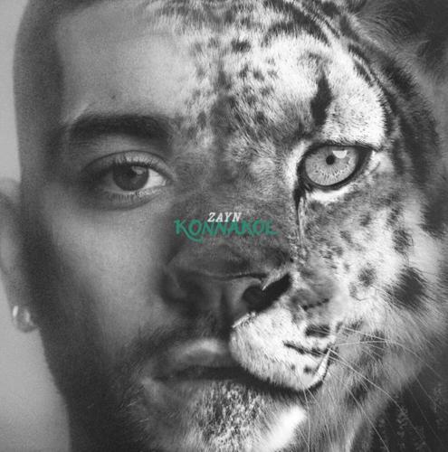 Zayn -- Konnakol