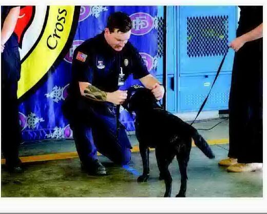 New partner brings comfort to Fayetteville fire crews