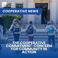 The cooperative commitment: concern for community in action