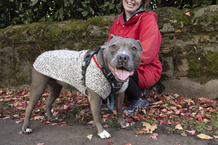 xxxDomestic Violence Assignment_Jessie