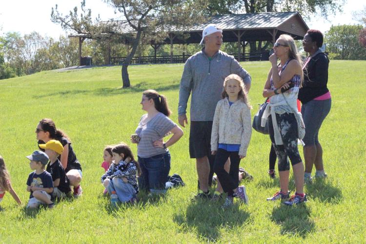 Red Tailed Hawk release